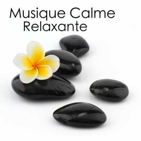 Musique Calme | Boomplay Music