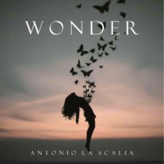 Wonder