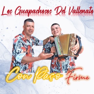 Los Guapachosos del Vallenato