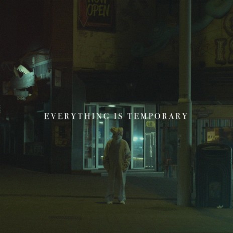 Everything Is Temporary | Boomplay Music