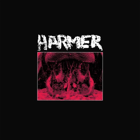 Harmer | Boomplay Music