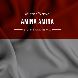 Amina Amina By Mister Wawa