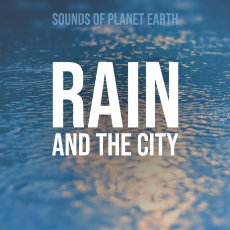 City Park Light Rain Day Sounds