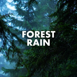 Forest Rain