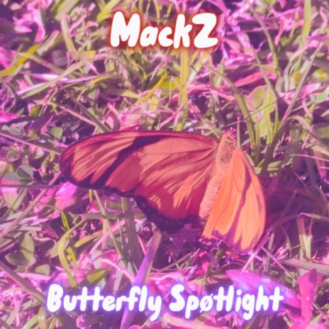 Butterfly Spøtlight | Boomplay Music