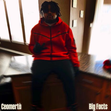 Big Facts | Boomplay Music