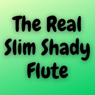 The Real Slim Shady (Flute)