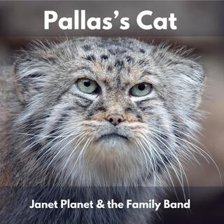 Pallas's Cat lyrics | Boomplay Music