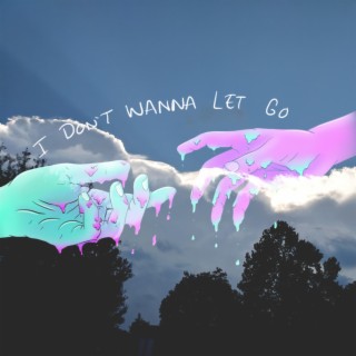I Don't Wanna Let Go