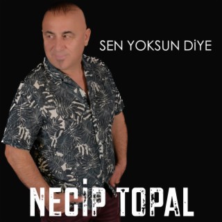 Sen Yoksun Diye