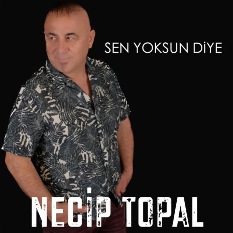 Sen Yoksun Diye | Boomplay Music