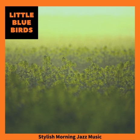 Catching the Early Bird | Boomplay Music