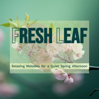 Relaxing Melodies for a Quiet Spring Afternoon