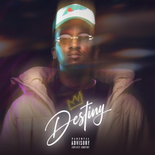 Destiny (Radio Edit) lyrics | Boomplay Music