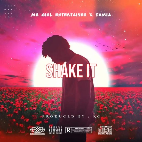 Shake It ft. Mr Girl Entertainer, Tamia The Vocalist & Kc