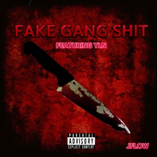 Fake Gang Shit ft. YLN lyrics | Boomplay Music