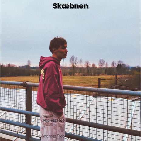 Skæbnen | Boomplay Music