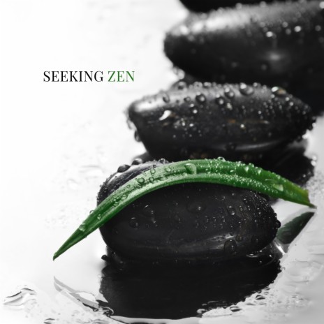 Seeking Zen | Boomplay Music