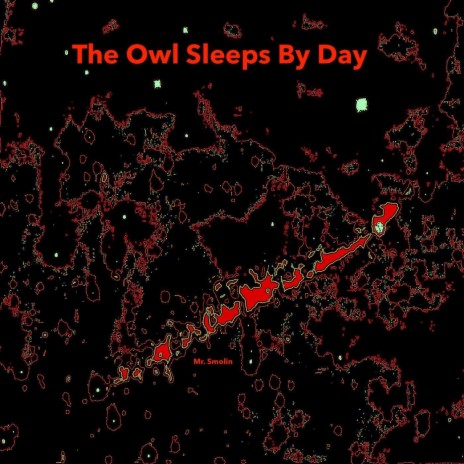 The Owl Sleeps by Day | Boomplay Music