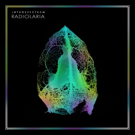 Radiolaria | Boomplay Music