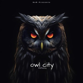 Owl City Part:A