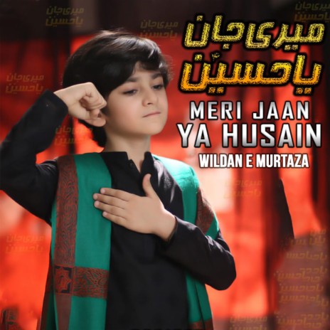 Meri Jaan Ya Hussain (Wildan e Murtaza) | Boomplay Music