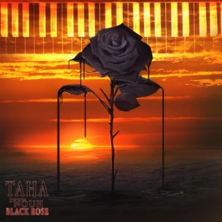 the Black Rose