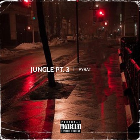 JUNGLE, Pt. 3 | Boomplay Music