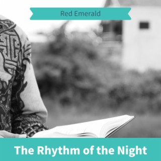 The Rhythm of the Night