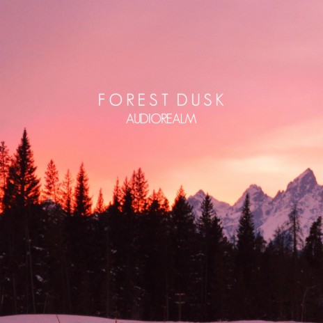 Forest Dusk | Boomplay Music