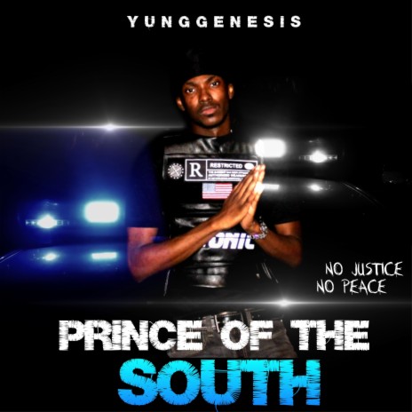 Prince of the South | Boomplay Music