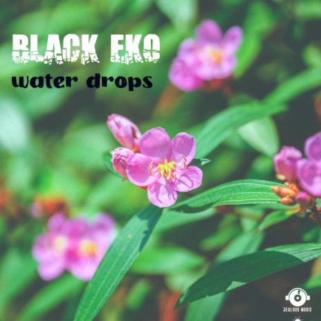 Water drops ft. Alex Tassel | Boomplay Music