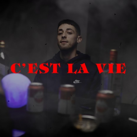 C'est la Vie | Boomplay Music