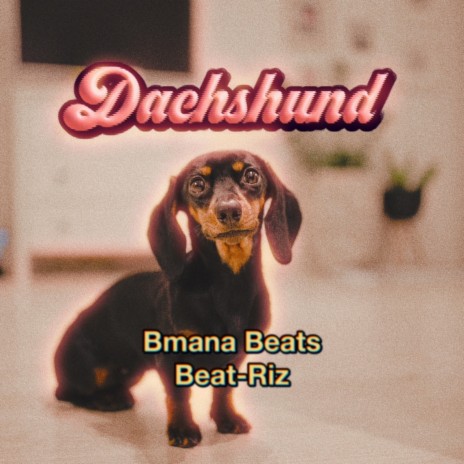 Dachshund ft. Bmana Beats | Boomplay Music