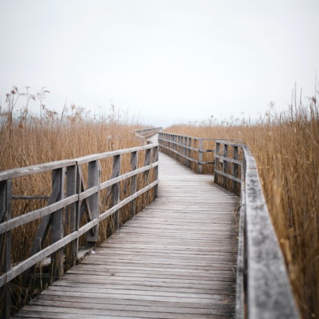 A Moment of Love to the Sound of the Sea | Boomplay Music