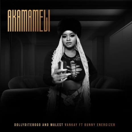 Akamameli ft. Mulest Vankay & Bunny Energizer | Boomplay Music