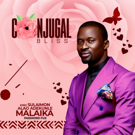 Conjugal Bliss | Boomplay Music