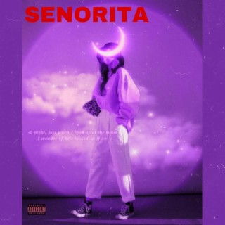 SENORITA (Habibi Remix) lyrics | Boomplay Music