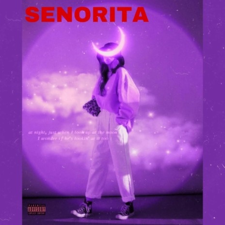 SENORITA (Habibi Remix) | Boomplay Music