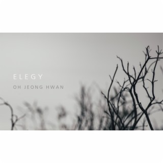 ELEGY