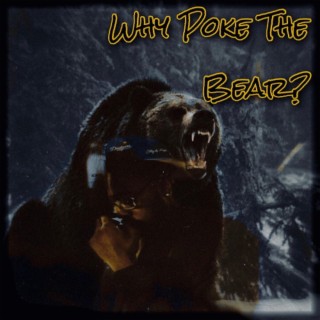 Why Poke The Bear ?