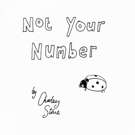 Not Your Number | Boomplay Music