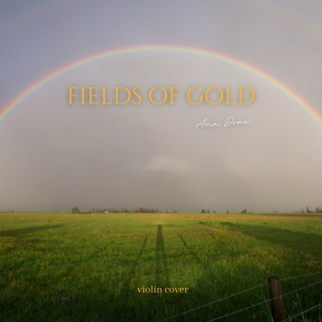 Fields of Gold (Violin Cover) | Boomplay Music