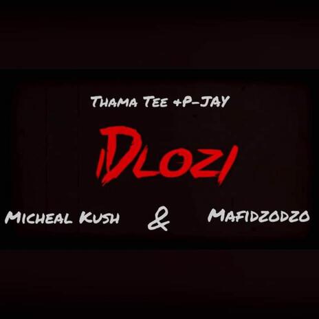 Idlozi ft. P-JAY, Micheal Kush & Mafidzodzo