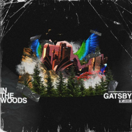 In the Woods | Boomplay Music