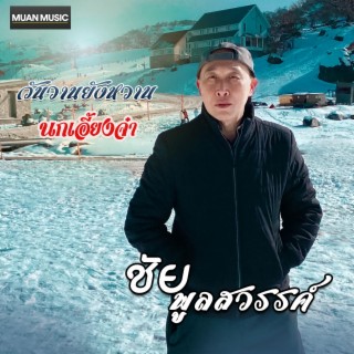 นกเอี้ยงจ๋า lyrics | Boomplay Music