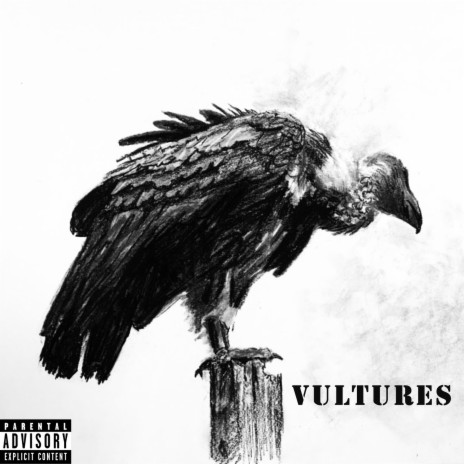 Vultures | Boomplay Music