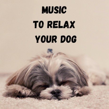 Sweet Dream Dog ft. Calm Pets Music Academy, Relaxing Puppy Music & Music For Dogs Peace | Boomplay Music