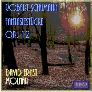 Robert Schumann: Fantasiestücke Op. 12