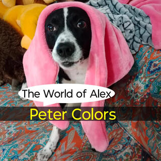 The World of Alex